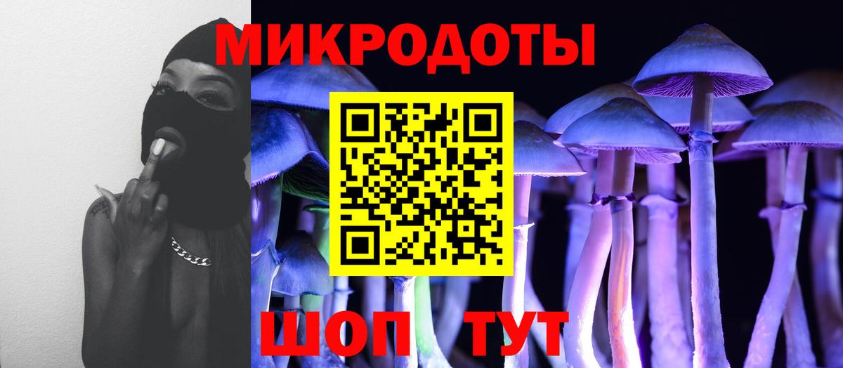 Галлюциногенные грибы прущие грибы  Псилоцибиновые грибы Cubensis  Вход с VPN  Искитим 